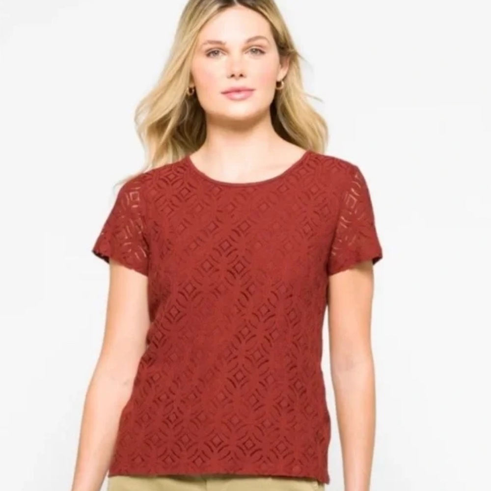 Market & Spruce Hans Rust Crochet Lace Front Top Stitch Fix Large
